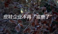 皮鞋企业不再“富贵了” 运动鞋企业绩“步步高”